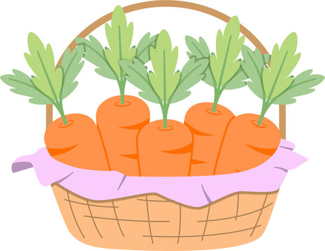 A charming vector illustration of a wicker basket filled with fresh orange carrots and green leafy tops