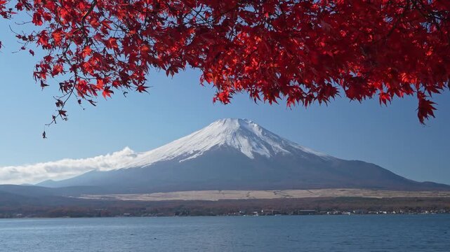 Vibrant red maple leaves frame a distant view of Mount Fuji.