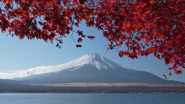 Red maple branches frame snow-capped Mount Fuji over a lake.