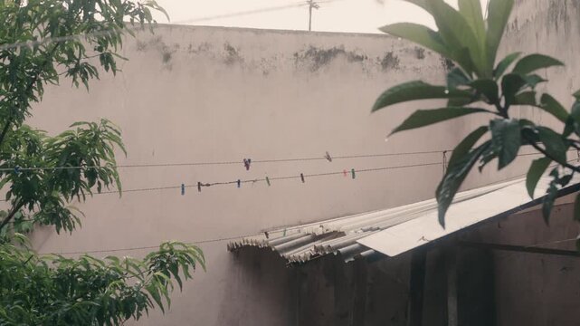 Domestic clotheslines against weathered wall and foliage, tropical backyard scene