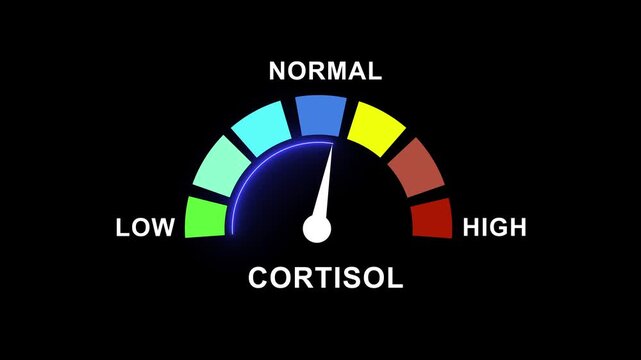 Animated cortisol level gauge meter indicating stress hormone fluctuations from low to levels on a dark background, for medical health, diagnostics, wellness education, and biological research