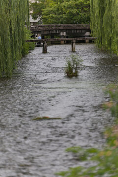 柳に囲まれた京都・白川の行者橋と石橋