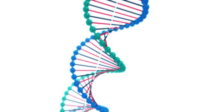 DNA Double Helix Structure Model Illustration Representing Genetics Biotechnology and Molecular Biology on White Background