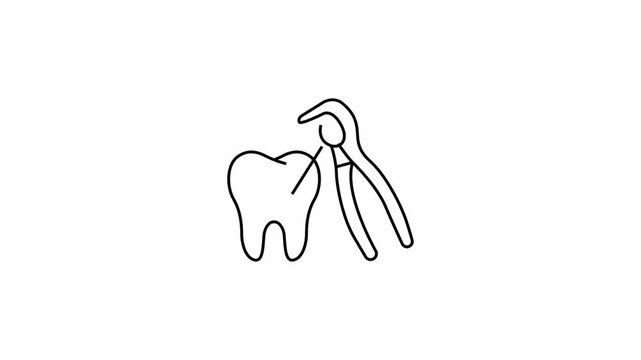 Animated Tooth Extraction Line Icon Motion Graphic