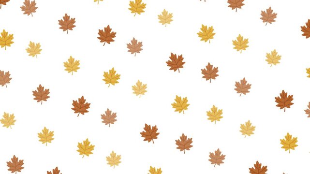Seamless pattern of falling autumn maple leaves on white background