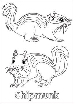 cute chipmunk coloring pages for kids vector animal line art design