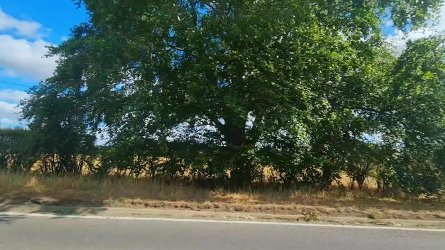 British Rural Car Travel Between Luton to Sharpenhoe Country Road. Car Mounted Camera Time Lapse Footage of Car Travel on British Country Road and Highways of England UK. 2nd September, 2026.