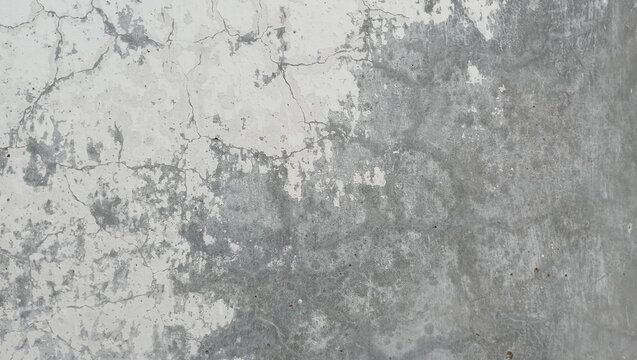 High-Key Peeling Paint Texture on Weathered 
 Wall. Subtle white and pale green tones create a 
 distressed, vintage mood. Cracked pattern offers 
 a rustic feel, ideal for backgrounds, textures