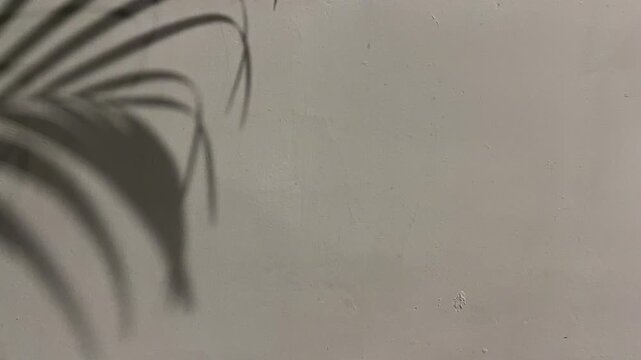 grey wall color texture background. cement texture stone concrete, rock plastered stucco wall. painted flat fade background. Side view, front, close up. backgrounds. copy space, empty, free, negative