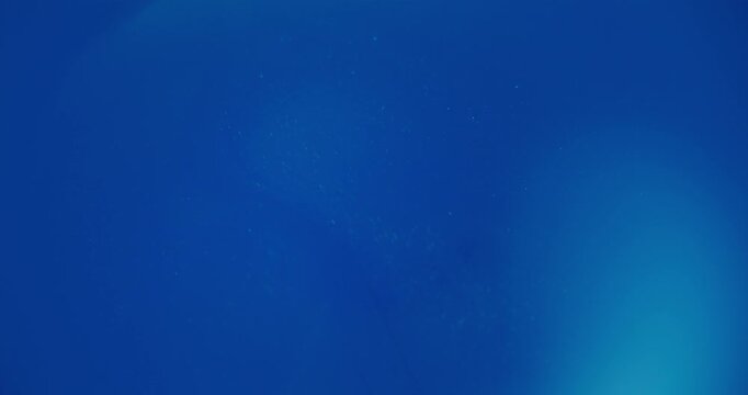 Defocused color ink. Blue particles flow. Pigment bright water vibrant fluid vivid glitter texture floating on abstract acrylic art background.