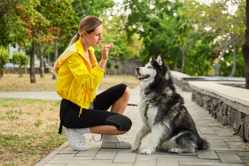 Pet training and companionship, young woman teaching commands to her husky dog in a park during a sunny day for active lifestyle and animal care © Pixel-Shot
