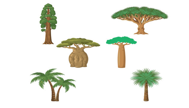 Exotic tropical tree vector set featuring baobab, palm, redwood, and dragon blood trees isolated on a white background.