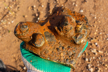 Silicified brachiopod fossils embedded in a rusty textured rock held in a gloved hand against a blurred sandy quarry background © PhotoChur