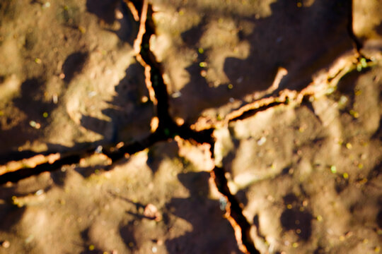 Abstract out-of-focus background of parched, cracked earth with deep fissures in dried mud and silt, capturing the textural essence of a thirsty, arid landscape in soft blurry light