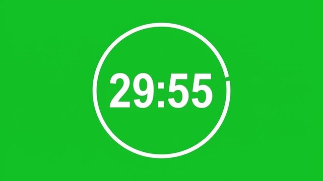 Circular countdown timer displays twenty nine minutes and fifty five seconds inside a progress ring.