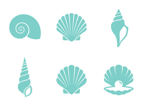 Marine seashell and ocean pearl icons set featuring scallop conch shell spiral and clam symbols