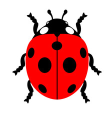 Cute red ladybug with black spots, isolated on a transparent background, in a simple flat cartoon illustration style. © Juanpa Duque