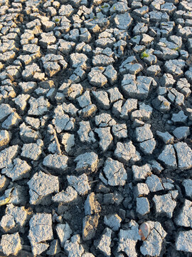 Close Up of Dry Cracked Earth Texture