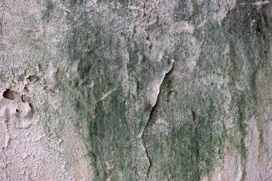 The paint on the house walls is peeling due to moisture.
Close-up of peeling paint on an interior wall caused by moisture and humidity damage.
Water-damaged wall surface with cracked and peeling paint