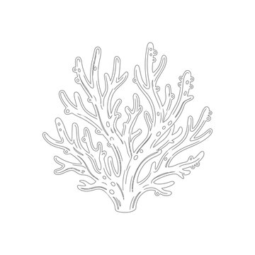 Delicate linear coral reef branch icon on white background.
