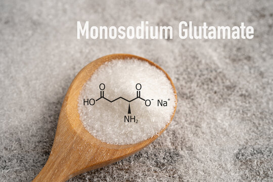 MSG Monosodium glutamate flavor enhancer added to make food taste better.