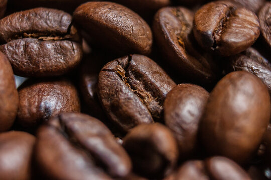 Macro Roasted Coffee beans artistic shot  photography, brown bean, Arabica, Robusta, Liberica, Excelsa, Kopi Luwak and Black Ivory, freshness aromatic caffeine, selective focus, Cairo Egypt