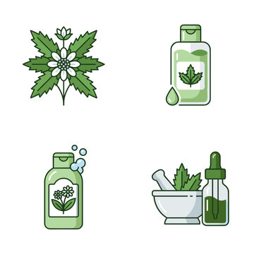 Vector botanical illustration of Eclipta prostrata, known as false daisy or bhringraj, featuring small white flowers and green lanceolate leaves isolated on a white background.