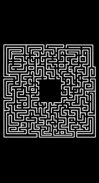 Labyrinth of Shadowed Paths
