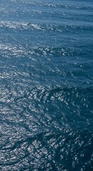 Fototapeta premium Ocean's Shimmering Song