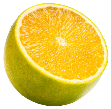 Citrus Sinensis Orange isolated on white background, Sweet Yellow Orange fruit on white background with clipping path PNG file.