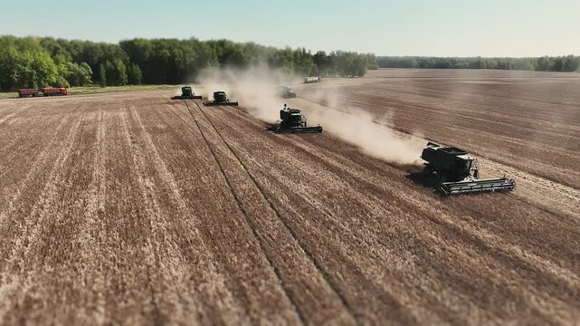 Aerial view of multiple combine harvesters moving in formation across a large field during harvest, creating dust clouds during large-scale mechanized crop harvesting.