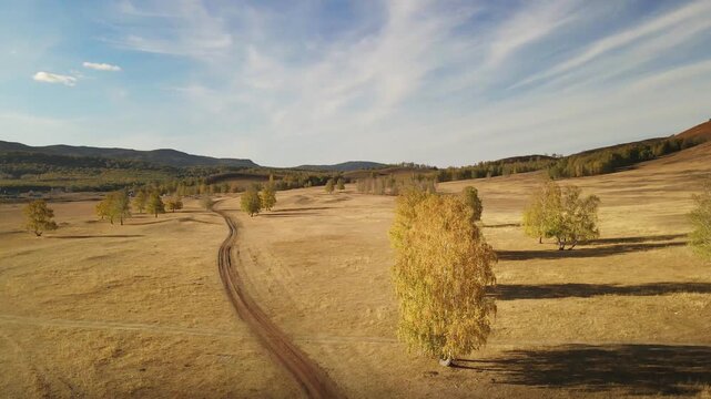 Yellow autumn trees in a field at sunset. Road in countryside with forest and mountains. Aerial view. Beautiful autumn landscape.  

