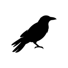 Fototapeta premium Bird black silhouette icon on plain white background Editable_EPS