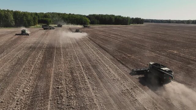Aerial view of multiple combine harvesters working across a large field during harvest, showing large-scale mechanized farming and commercial crop production.