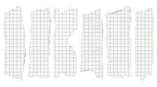 Torn Grid Paper Strips Ripped Notebook Sheet