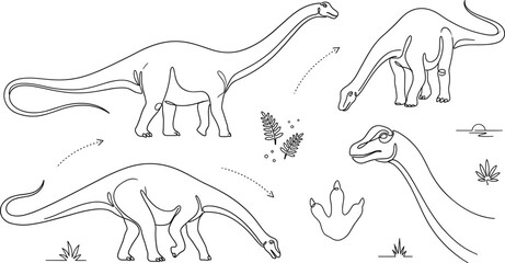 Dinosaur Vector Outline Set Featuring Long Neck Sauropods Brachiosaurus And Prehistoric Nature Elements © Ma