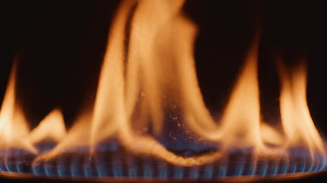 Close-up of gas stove flames in motion against a dark background with a focus on the blue base and orange tips