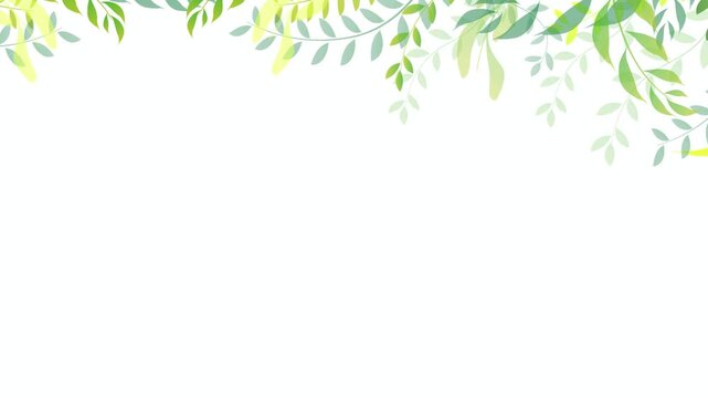 Delicate green leaves hanging from above 4K