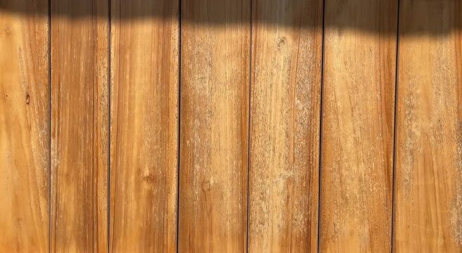 Wood texture background, wood planks. Grunge wood, painted wooden wall pattern. side view, front, close up. black, dark, shadows. sunlight, sunshine, sunrise. bright. brown. copy space, empty, free