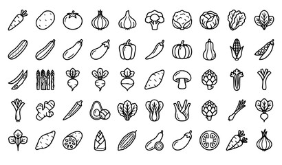 Obraz premium 50 vegetable line icons set with fresh food produce cooking and editable vector strokes Keywords