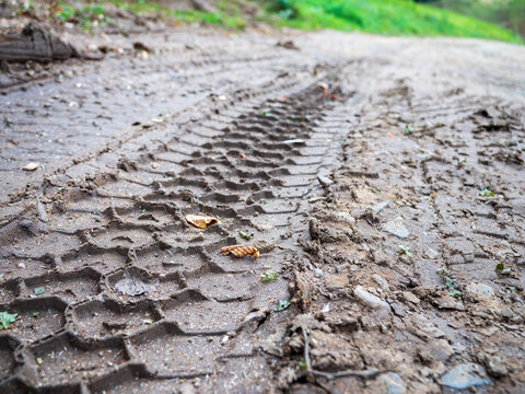 Deep truck tire tracks imprinted in wet muddy soil on a forest road, showing heavy vehicle traffic, off-road transport, logging activity and disturbed ground.