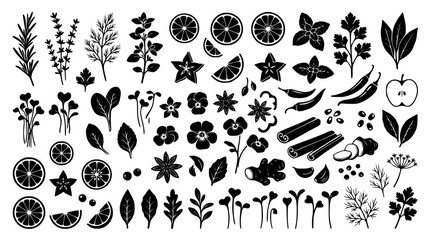 Obraz premium Collection of hand drawn organic herbs and spices silhouettes for culinary design elements
