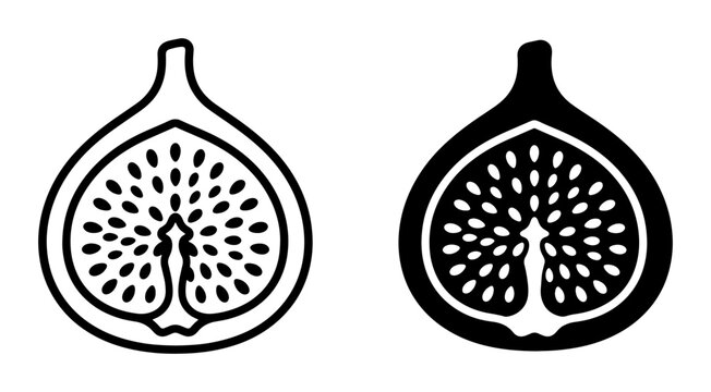 Fig Icons: Two Vector Illustrations of a Fresh Fig, One Outline, One Solid Black, Showcasing Seeds and Texture for Food and Health Concepts