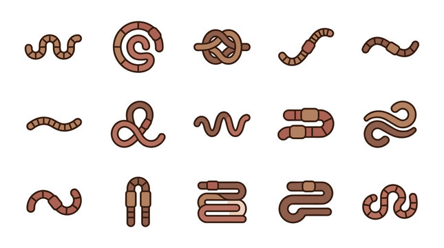 Detailed vector illustration of a common earthworm (Lumbricus terrestris) featuring segmented pinkish-brown body and clitellum, isolated on white background for biology and gardening.