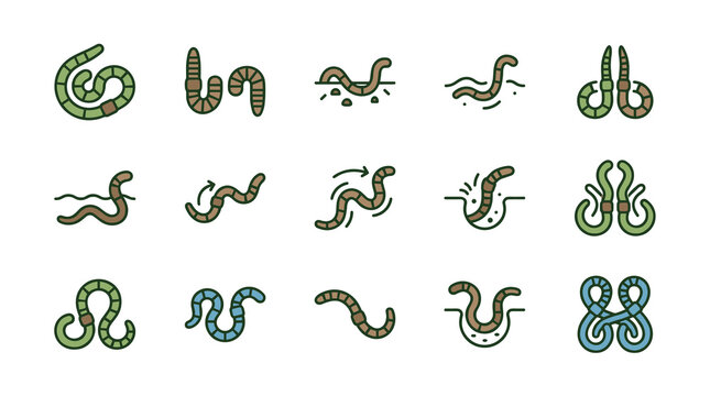 Detailed vector illustration of a common earthworm (Lumbricus terrestris) featuring its segmented body and clitellum, isolated on a white background for biology and science education.