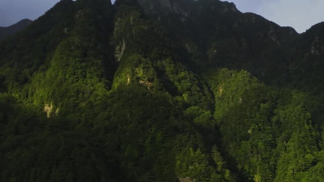 Cinematic view of a beautiful tree-covered mountainside in Japan, with dense forest and lush green vegetation covering the rugged slopes. Peaceful Japanese wilderness and natural mountain scenery crea