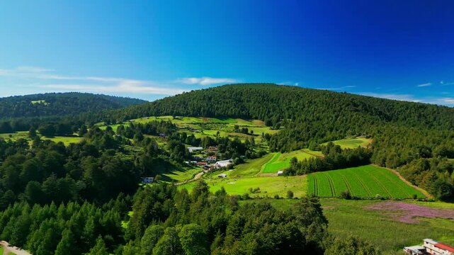 Aerial drone view of patchwork of green farm fields on a forested hillside under a blue sky in the State of Mexico, central Mexico