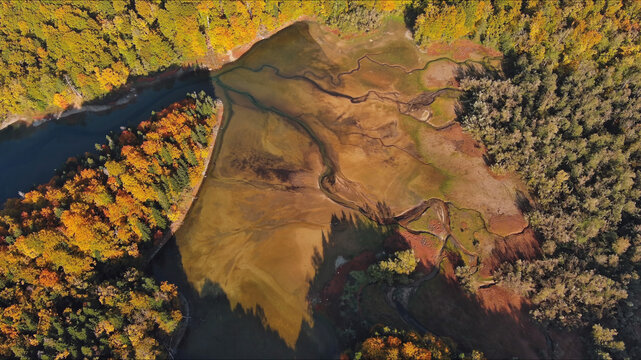 Meandering riverbed and forest of autumn trees nature landscape