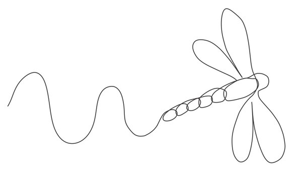 continuous line drawing of a dragonfly with a flight trail.