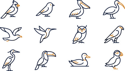 Fototapeta premium Minimalist Bird Species Vector Illustration featuring blue and orange line art icons for nature design projects